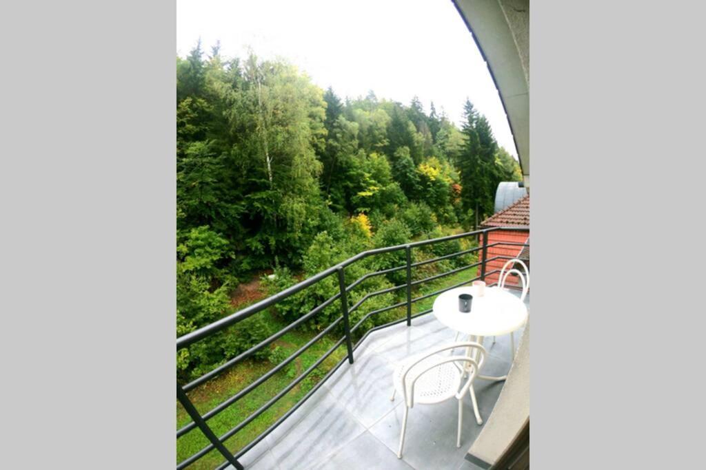 The Mountain Loft Klinovec - With Infrasauna Jáchymov Exterior photo